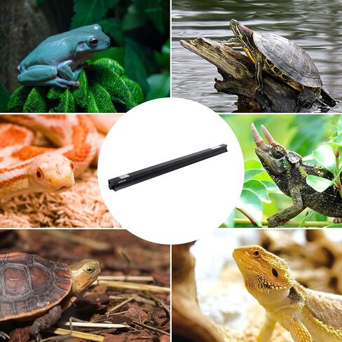 REPTI ZOO 8W Reptile T5 HO UVB Lighting Combo Kit, Light Fixture Reptile Terrarium Hood, with detachable curved reflector and 1pc Desert 10.0 UVB T5 Lamp, ETL certificated in Kuwait