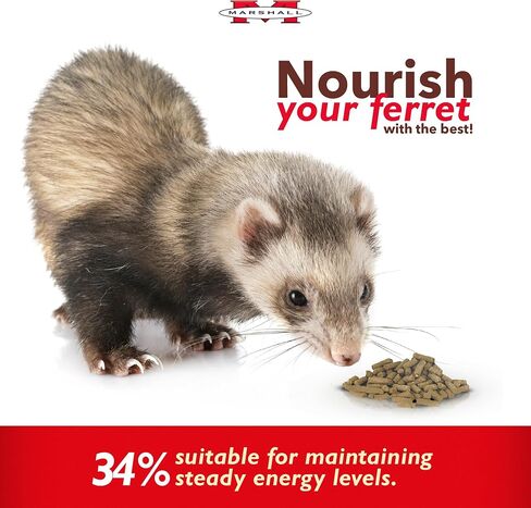 Marshall Premium Ferret Diet, 35-Pound Bag in Kuwait