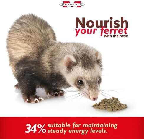 Marshall Premium Ferret Diet, 35-Pound Bag in Kuwait