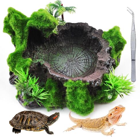 kathson Reptile Feeder Ledge,Reptiles Food Bowls and Water Dish Crested Gecko Feeder with Suction Cup Ledge Accessories Bowls for Gecko Lizard Chameleon Spider(with 2 Pcs cups) in Saudi Arabia