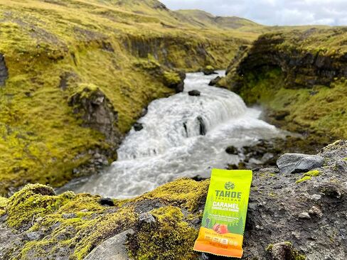 Tahoe Trail Bar, Plant-Based Natural Energy Bar (1.94 Ounce Protein Bar, 12 Count) High Protein Non-GMO, Gluten-Free, Vegan Healthy Snacks - Mango Coconut in Saudi Arabia