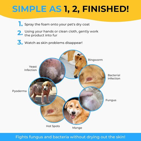 Smiling Paws Pet Shampoo for Dogs & Cats - Dog Shampoo for Smelly Dogs - Fresh Cucumber Scent (16oz) in Saudi Arabia