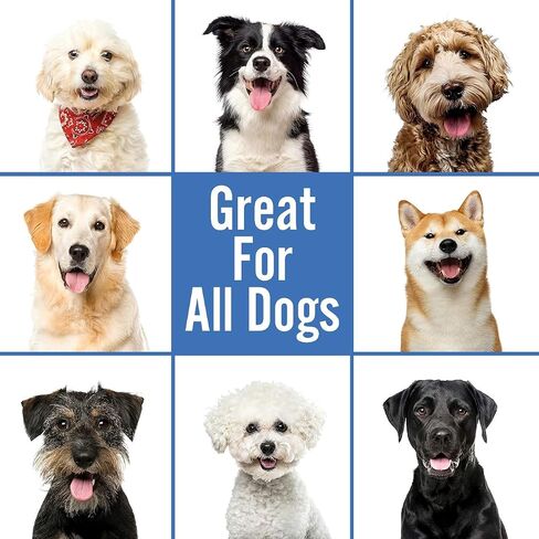 Smiling Paws Pet Shampoo for Dogs & Cats - Dog Shampoo for Smelly Dogs - Fresh Cucumber Scent (16oz) in Saudi Arabia