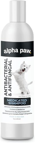 Smiling Paws Pet Shampoo for Dogs & Cats - Dog Shampoo for Smelly Dogs - Fresh Cucumber Scent (16oz) in Saudi Arabia