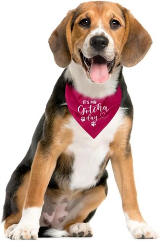 It's My Gotcha Day Dog Bandana, Funny Pet Dog Puppy Bandana, Mother Puppers Happy Gotcha Day, Dog Bandana Adoption Day, Photo Props Accessories, for Pet Dog Lovers Gifts (D92) in Saudi Arabia