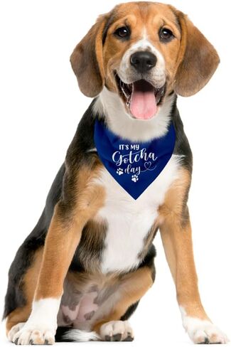 It's My Gotcha Day Dog Bandana, Funny Pet Dog Puppy Bandana, Mother Puppers Happy Gotcha Day, Dog Bandana Adoption Day, Photo Props Accessories, for Pet Dog Lovers Gifts (D92) in Saudi Arabia