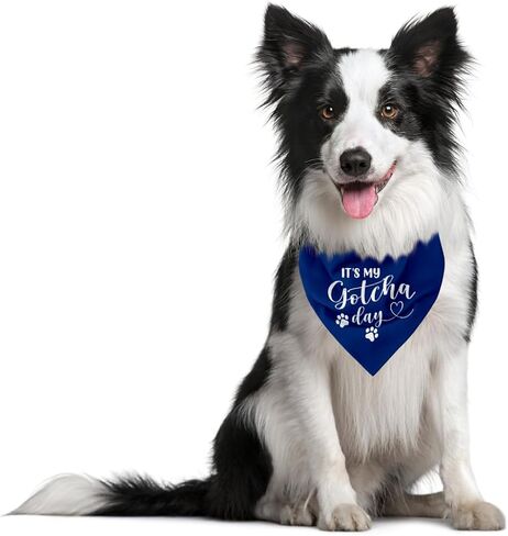 It's My Gotcha Day Dog Bandana, Funny Pet Dog Puppy Bandana, Mother Puppers Happy Gotcha Day, Dog Bandana Adoption Day, Photo Props Accessories, for Pet Dog Lovers Gifts (D92) in Saudi Arabia