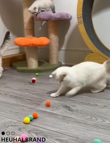 Cat Toys for Indoor Cats, 27 PCS 1.25" to 6.3", Kitten Toy Interactive Cat Exercise Toys, Plastic Ball Cat Toys Lattice Balls with Bell Jingle for All Breeds Cat Kicker in Kuwait