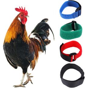 2pcs مضادة للتناقص المتشعر بالعبور قابلة للتعديل الديك cockerels مضادة للضوضاء Nylon Nylon حزام Pet Pet Prott