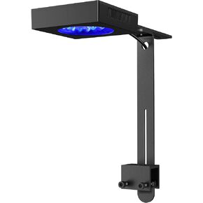 NICREW NavaReef 65 Reef LED Light, 65W Reef Aquarium Lighting for Soft/LPS Corals and Saltwater Fish Tanks, Built-in Timer, Blue Focused Spectrum