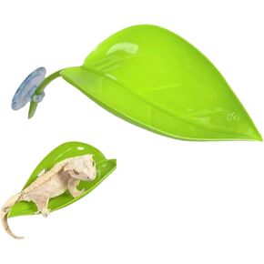 إكسسوارات دبابة Gecko ل Dege Leopard/Crested/Tree Frog Terrarium Decor (الأخضر الداكن)