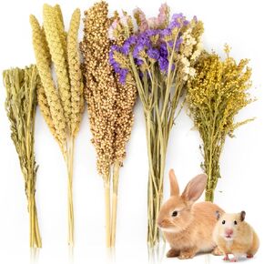 Sukh Natural Hamster Bedding - Hamsters Sprays Safe Cage Accessories Hideout Habitat Decorations for Dwarf Syrian Hamster,Gerbil,Lemming Degus,Mice and Other Small Animals