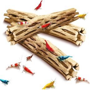 SunGrow Cholla Wood, 5" Climbing Logs, Chew Toy, Aquarium Fish, Snail, and Shrimp Driftwood, Tropical Freshwater Fish Décor, Adds Raw Beauty, 3 Pack