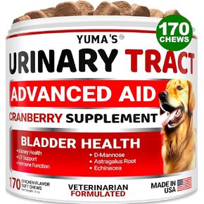 Dog Multivitamin Chewable with Glucosamine - Dog Vitamins and Supplements - 170 Treats - Senior & Puppy Multivitamin for Dogs - Hip & Joint Support - Immune Health, Skin, Heart, Digestion, Probiotics