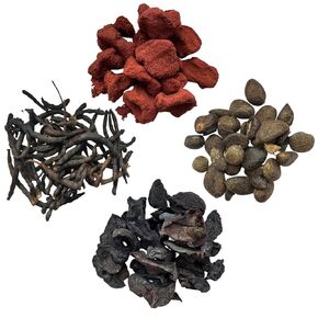 Ashe De Santo, Obi, Eru, Kola Osun, Ifa, Santeria, Palo Ache De Santo