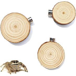 3 Pack Jumping Spider Enclosure Climbing Platforms, Magnetic Jumping Spider Wooden Ledge Ladder, Jumping Spider Accessories, Habitat Decor for Small Light Critters in Kuwait