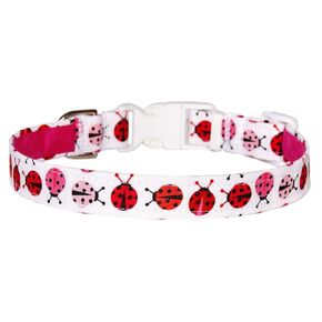 Ladybugs Cog Collar - حشرات Lady Lady Red و Pink On White - 100 ٪ من القطن - 4 أحجام - 3/4 بوصة - مصنوعة يدويًا بواسطة مطبخ Acorn الأخضر (صغير 9-13 ")