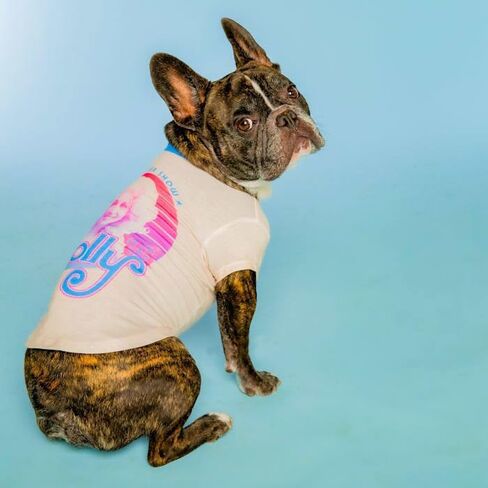 Doggy Parton Black Be A Dolly Tee - XL in Saudi Arabia
