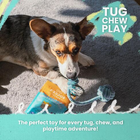 Health Extension SNUG AROOZ Spikey Beast Strong Tug Toy for Dogs, Outdoor Puppy Teething Chew Toys, Tough & Rope, (24 Inches - Assorted Colors) in Saudi Arabia