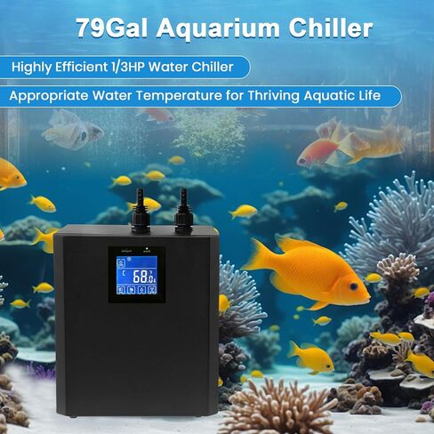 Aquarium Chiller 79 Gal ، 1/3 HP Mater Bchiller Machine ، نظام تبريد مائي ، مرد خزان الأسماك مع شاشة LED تمت ترقيته ، لفيلم Axolotl Axolotl in Kuwait