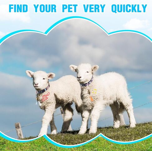 2 Pack Goat Collars with Bells, Sheep Grazing Copper Bells and Adjustable Nylon Collar Set Loud Bronze Bell for Small Farm Animal Sheep Cow Accessories(Vibrant Color) in Kuwait