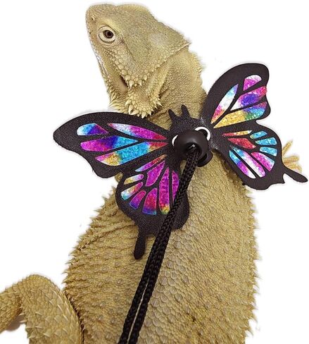 Bearded Dragon Harness Leash Set Adjustable 3PC Leather Vest Butterfly Wings Harness Lizard Outdoor Walking Control Rope for Iguana Gecko Chameleon Hamster Ferret (Rainbow) in Kuwait