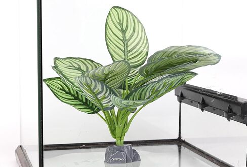 Reptile Terrarium Plants, Bearded Dragon Tank Decor Accessories for Ball Python Leopard Gecko Tree Frog Tarantula Lizard Corn Snake Tortoise Chameleon Crested Gecko - Fake Goeppertia Yellow in Kuwait