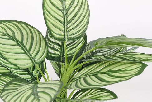 Reptile Terrarium Plants, Bearded Dragon Tank Decor Accessories for Ball Python Leopard Gecko Tree Frog Tarantula Lizard Corn Snake Tortoise Chameleon Crested Gecko - Fake Goeppertia Yellow in Kuwait
