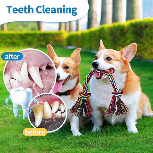 [2 Pack] Dog Rope Toys, Dog Chew Toy for Medium and Small Dogs, 3 Knots Heavy Duty Puppy Rope Toy, 100% Cotton Tug of War Dog Toys for Boredom, Teeth Cleaning in Kuwait