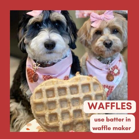 BUDDY BUDDER Birthday Bash Pooch Pancakes top w, Stack em' for Dog Birthdays w/Candle, 100% all natural, Healthy dog treats, No sugar or preservatives - Made in USA (14oz) in Kuwait