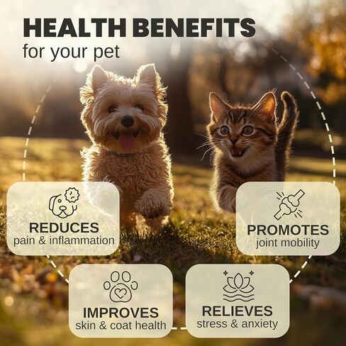 Hemp Oil for Dogs and Cats - Helps with Anxiety, Pain, Stress, Sleep, Arthritis, Seizures Relief - Hip and Joint Support - Calming Drops in Kuwait