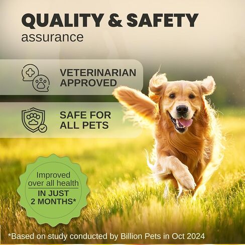 Hemp Oil for Dogs and Cats - Helps with Anxiety, Pain, Stress, Sleep, Arthritis, Seizures Relief - Hip and Joint Support - Calming Drops in Kuwait