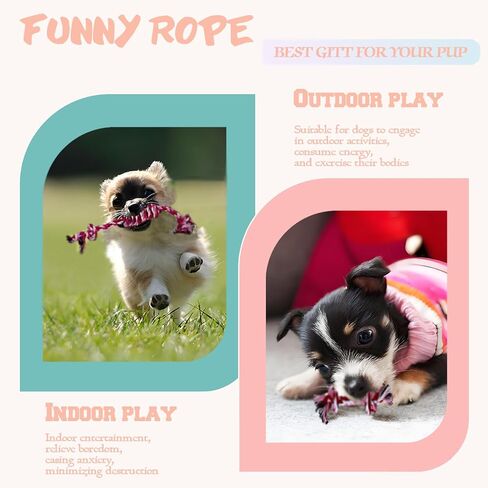 Puppy 3 Pack Cotton Knot Rope Toys for Small Dogs & Puppies, Durable Teething & Tug of War Chew Toy, Safe Interactive Toy for 2-8 Months Pets and High Active Puppy (Pink, Small) in Kuwait