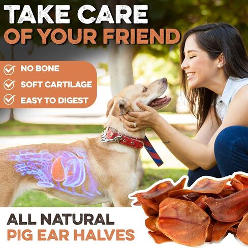 100% Natural Whole Pig Ear Dog Treat - 12 Pack Our Healthy Pig Ears Are Easy To Digest, Chemical & Hormone Free Thick Cut For Aggressive Chewers, Great Small Or Large Dogs in Kuwait
