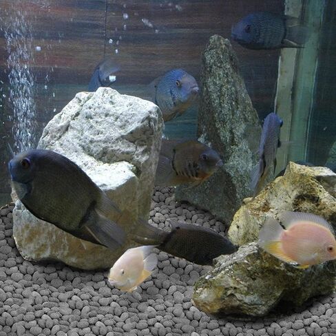 Stanbroil Tumbled Lava Rock Pebbles for Indoor or Outdoor Gas Fire Pits and Fireplaces - 10 pounds(1"-2") in Kuwait