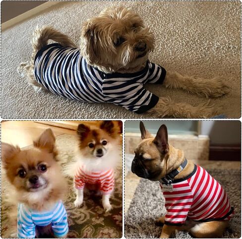 Geyoga 6 Pieces Dog Striped T-Shirt Cotton Breathable Pet Apparel Colorful Puppy Sweatshirt Clothes for Small to Medium Dogs Puppy(M) in Saudi Arabia