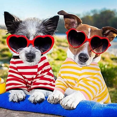 Geyoga 6 Pieces Dog Striped T-Shirt Cotton Breathable Pet Apparel Colorful Puppy Sweatshirt Clothes for Small to Medium Dogs Puppy(M) in Saudi Arabia