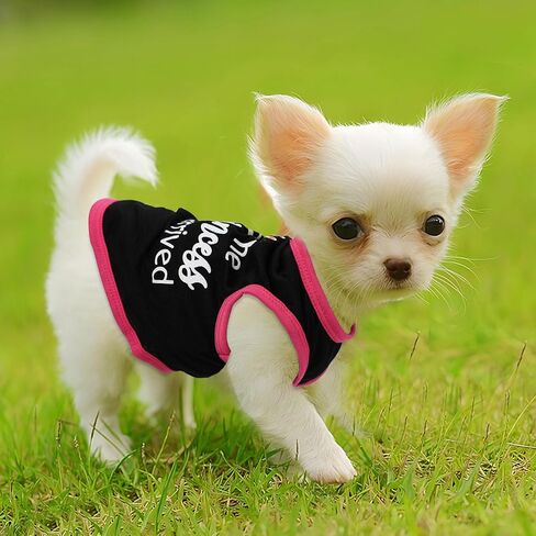 4 قطع ملابس الكلاب للكلاب الصغيرة بوي ملابس الجرو الصيفية ل chihuahua yorkie لينة لطيف نمط الكلب قميص الينابيع الحيوانات الأليفة CATING الوردي الورد Red Green XXS ~ M (xx-small in Kuwait