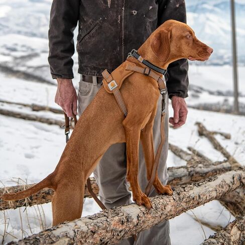 Carhartt Nylon Duck No Pull Dog Harness, Fully Adjustable Dog Harness with Quick Control Handle and Reflective Accents, Deep Wine, Large in Saudi Arabia
