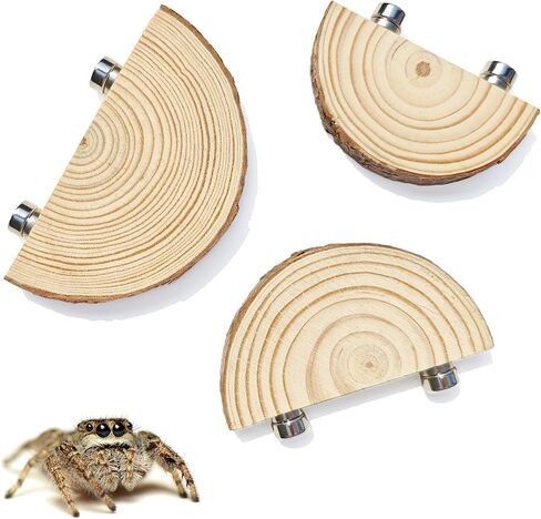 3 Pack Jumping Spider Enclosure Climbing Platforms, Magnetic Jumping Spider Wooden Ledge Ladder, Jumping Spider Accessories, Habitat Decor for Small Light Critters in Saudi Arabia