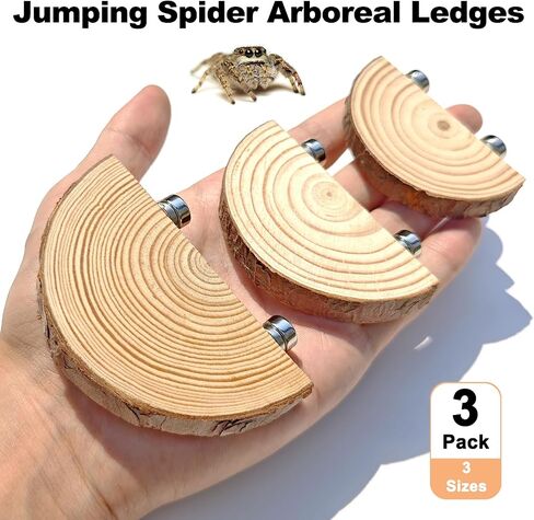 3 Pack Jumping Spider Enclosure Climbing Platforms, Magnetic Jumping Spider Wooden Ledge Ladder, Jumping Spider Accessories, Habitat Decor for Small Light Critters in Saudi Arabia