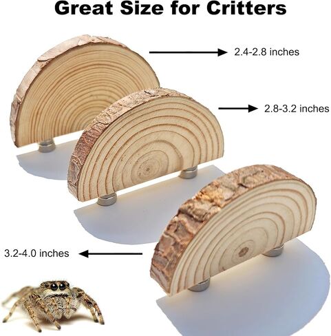 3 Pack Jumping Spider Enclosure Climbing Platforms, Magnetic Jumping Spider Wooden Ledge Ladder, Jumping Spider Accessories, Habitat Decor for Small Light Critters in Saudi Arabia
