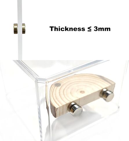 3 Pack Jumping Spider Enclosure Climbing Platforms, Magnetic Jumping Spider Wooden Ledge Ladder, Jumping Spider Accessories, Habitat Decor for Small Light Critters in Saudi Arabia
