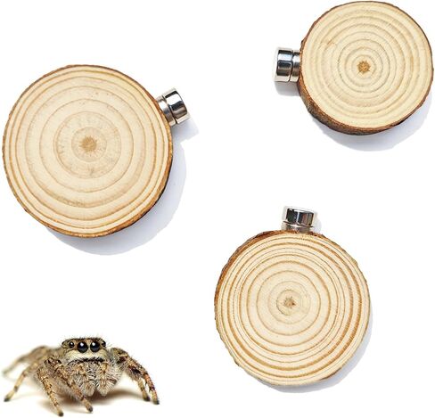 3 Pack Jumping Spider Enclosure Climbing Platforms, Magnetic Jumping Spider Wooden Ledge Ladder, Jumping Spider Accessories, Habitat Decor for Small Light Critters in Kuwait