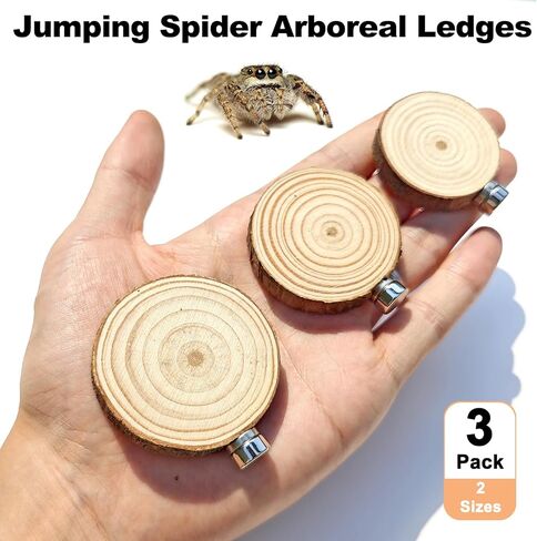 3 Pack Jumping Spider Enclosure Climbing Platforms, Magnetic Jumping Spider Wooden Ledge Ladder, Jumping Spider Accessories, Habitat Decor for Small Light Critters in Kuwait