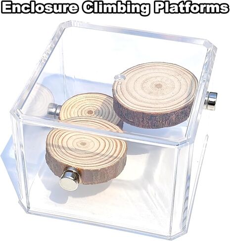 3 Pack Jumping Spider Enclosure Climbing Platforms, Magnetic Jumping Spider Wooden Ledge Ladder, Jumping Spider Accessories, Habitat Decor for Small Light Critters in Kuwait