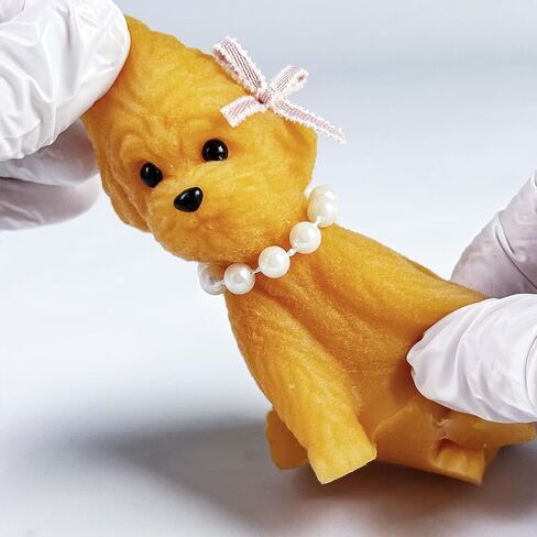 Taba Squishy Dog Toy, Taba Squishy Teddy Dog Toy, Cute Squishy Poodle,Realistic Puppy Toy, Silicone Mochi Fidget Pup, Stress Relief Gift for Adults & Kids (brown-s) in Saudi Arabia