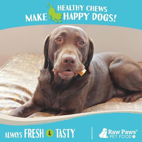 Raw Paws Himalayan Yak Chews for Dogs, Medium Chews (4 Count) - Himalayan Cheese for Medium Dogs - Yak Bones for Dogs - Yak Milk Bones for Dogs - Dog Cheese Chews Himalayan - Yak Chews for Medium Dogs in Kuwait