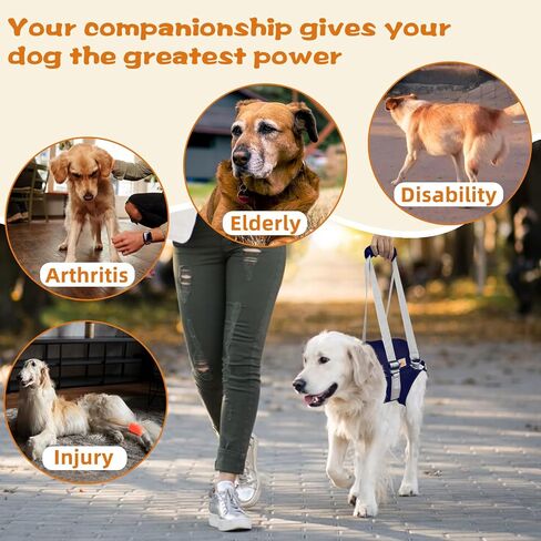 Dog Lift Harness for Large Dogs,Dog Sling for Back Legs,with Handle,Rear Leg Support/Walk/Up Stairs/Dogs Joint Injuries/Arthritis in Saudi Arabia
