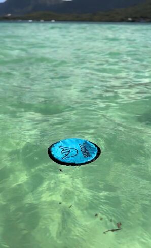 Shaka™ ZippyToss Flying Dog Disc, Interactive Durable Soft 9" Fetch Toy – Floats in Water & Safe on Teeth, All Breeds (Multi-Color, 5 Pack) in Saudi Arabia